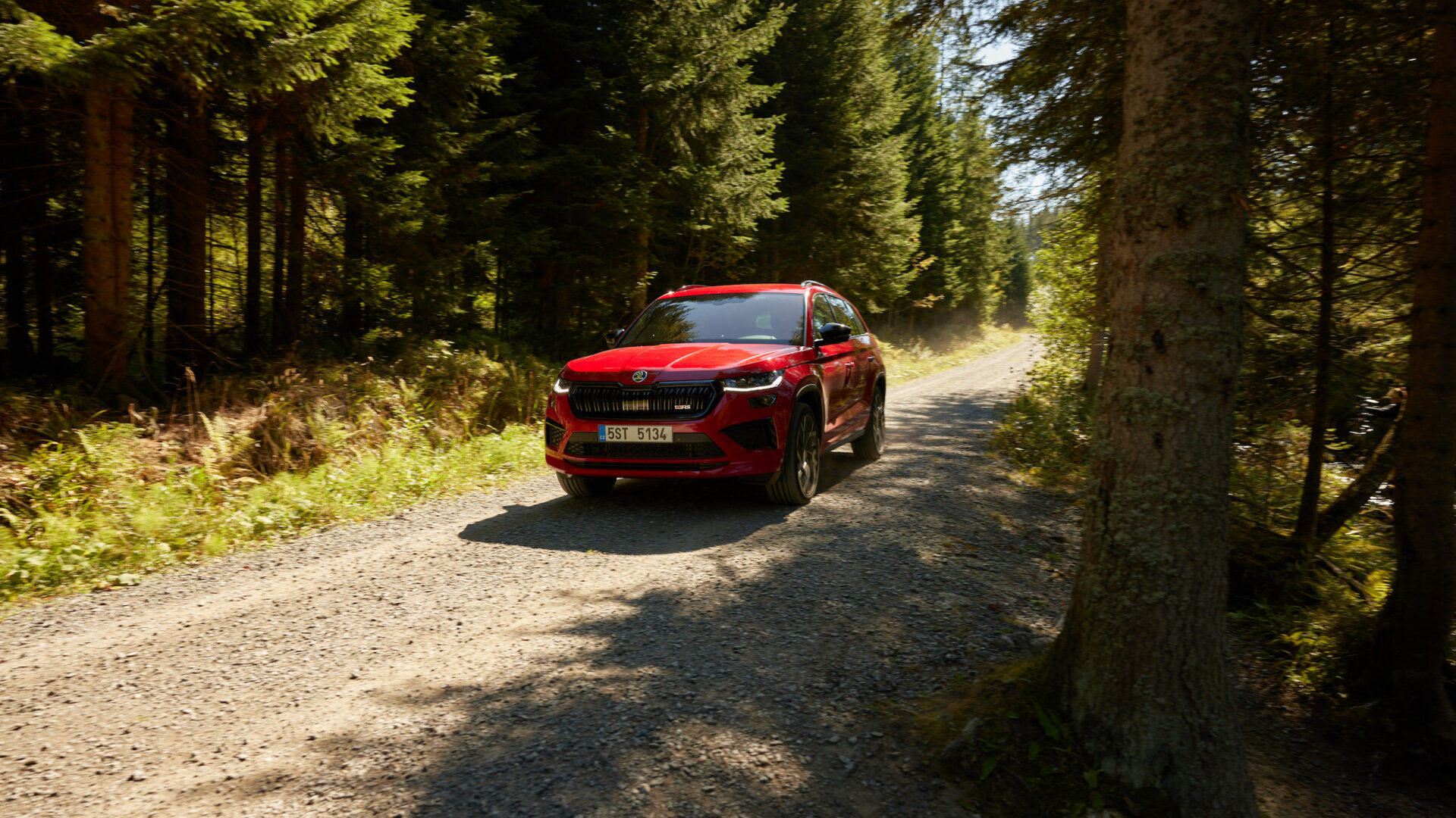 Škoda Kodiaq RS | The universal explorer